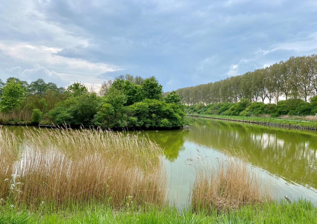 Parkje Goes Noord