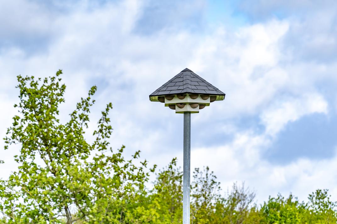 Zwaluwtil
