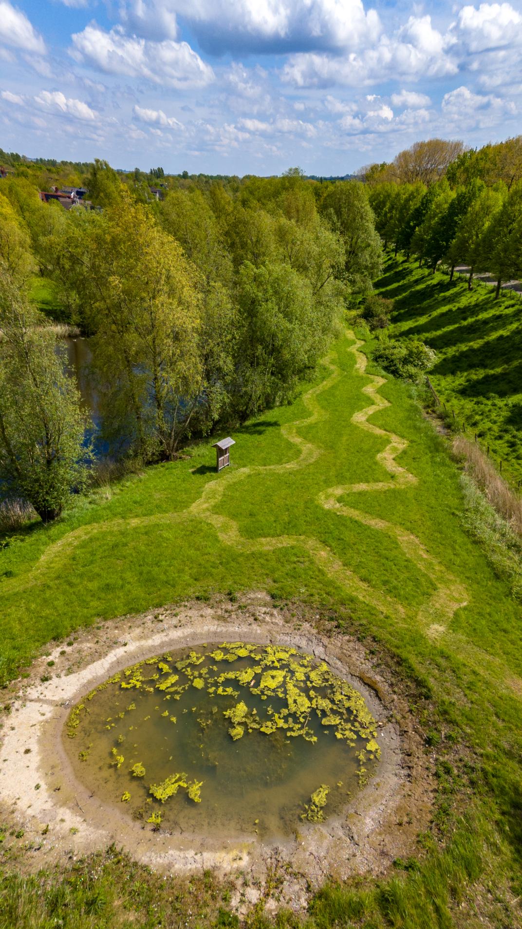 Slingerend gras
